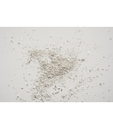 SAUPOUDREUR ARGENT Alimentaire 200 MG